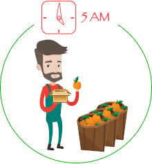 Step 3: All the fruit and veg is Hand picked and Packed